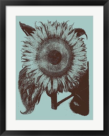 Framed Sunflower 18 Print