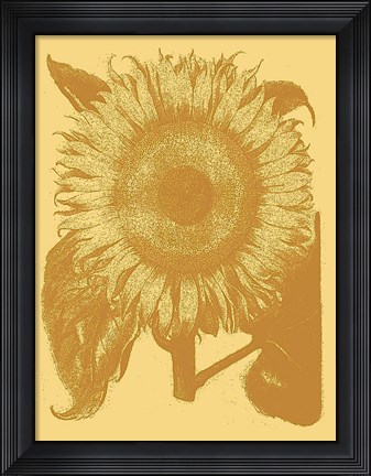 Framed Sunflower 19 Print