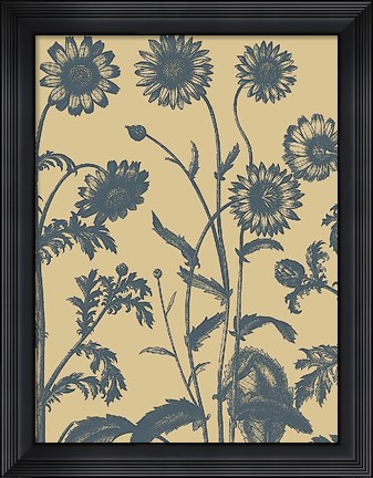 Framed Chrysanthemum 1 Print