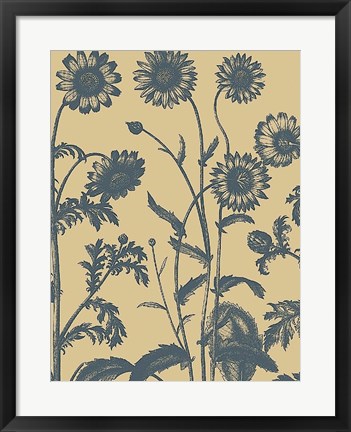 Framed Chrysanthemum 1 Print