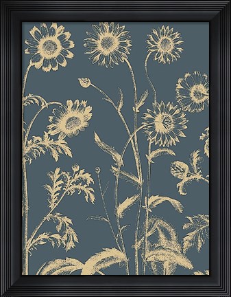 Framed Chrysanthemum 2 Print