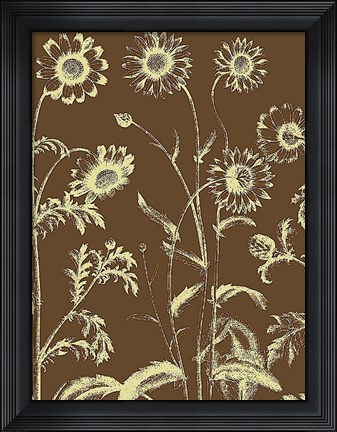 Framed Chrysanthemum 3 Print