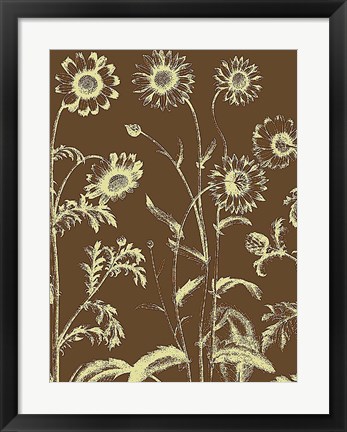 Framed Chrysanthemum 3 Print