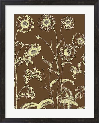 Framed Chrysanthemum 3 Print