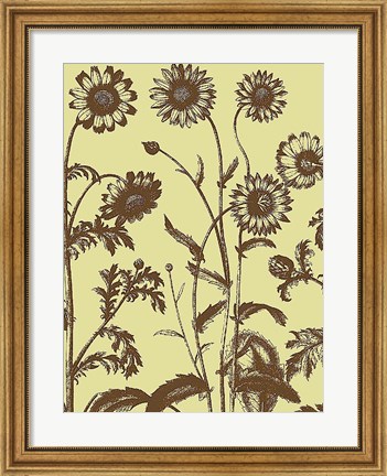 Framed Chrysanthemum 4 Print