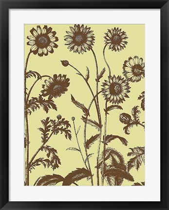 Framed Chrysanthemum 4 Print