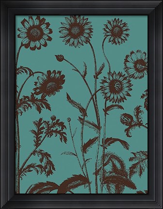 Framed Chrysanthemum 5 Print