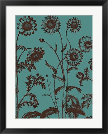 Framed Chrysanthemum 5 Print