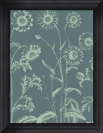 Framed Chrysanthemum 7 Print