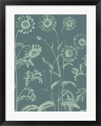 Framed Chrysanthemum 7 Print