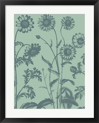 Framed Chrysanthemum 8 Print