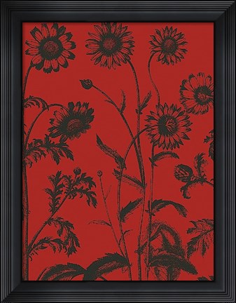 Framed Chrysanthemum 9 Print