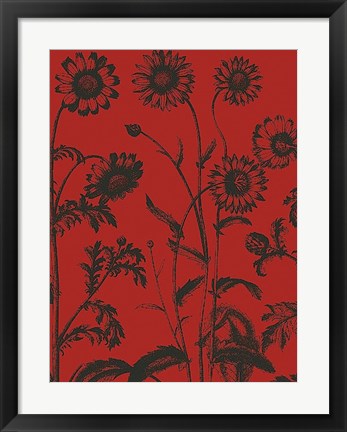 Framed Chrysanthemum 9 Print