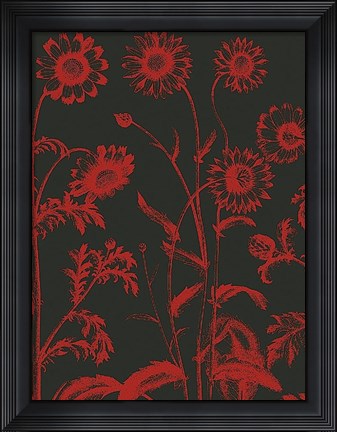 Framed Chrysanthemum 10 Print