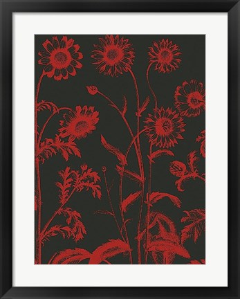 Framed Chrysanthemum 10 Print