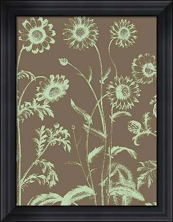 Framed Chrysanthemum 12 Print