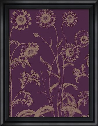 Framed Chrysanthemum 13 Print