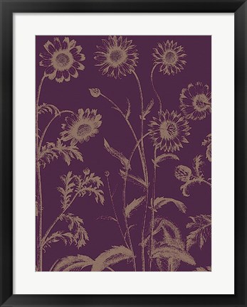 Framed Chrysanthemum 13 Print