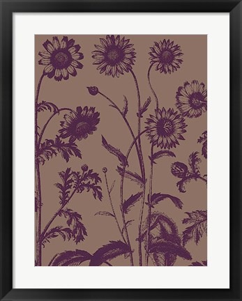 Framed Chrysanthemum 14 Print