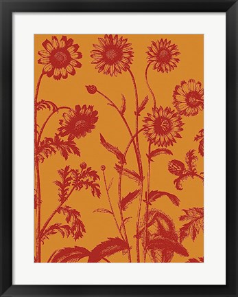 Framed Chrysanthemum 15 Print