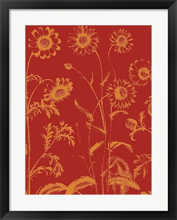 Framed Chrysanthemum 16 Print