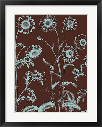 Framed Chrysanthemum 17 Print