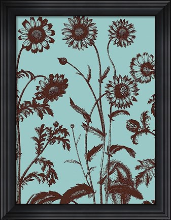 Framed Chrysanthemum 18 Print