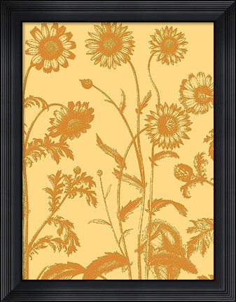 Framed Chrysanthemum 19 Print