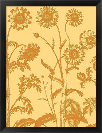 Framed Chrysanthemum 19 Print