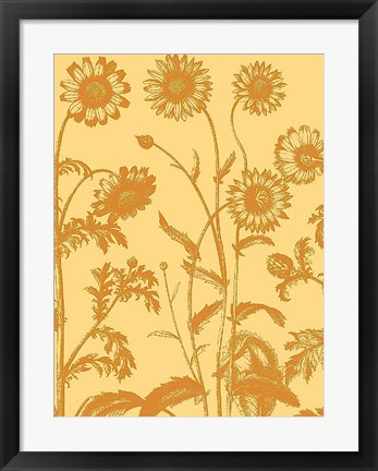 Framed Chrysanthemum 19 Print