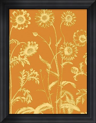Framed Chrysanthemum 20 Print