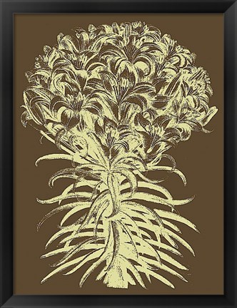 Framed Lilies 3 Print