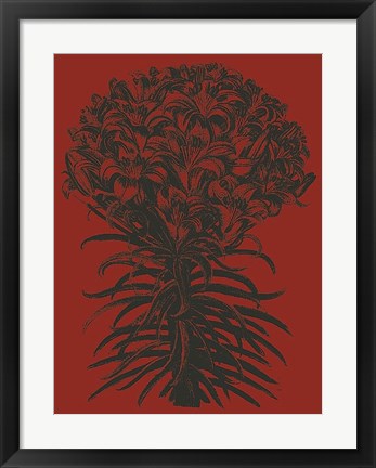 Framed Lilies 9 Print