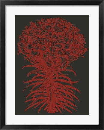 Framed Lilies 10 Print