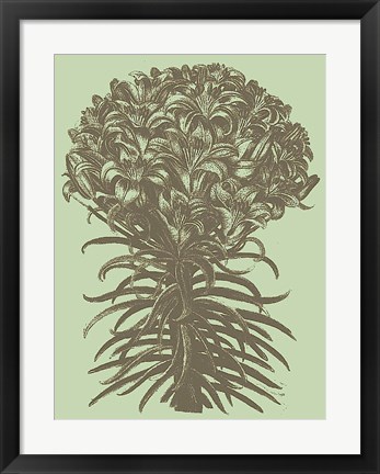 Framed Lilies 11 Print