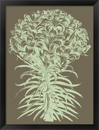 Framed Lilies 12 Print