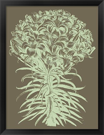 Framed Lilies 12 Print