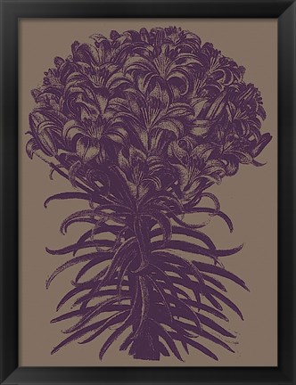 Framed Lilies 14 Print
