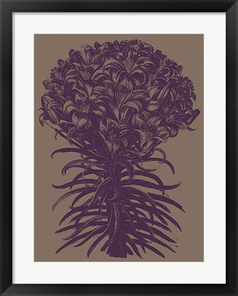 Framed Lilies 14 Print