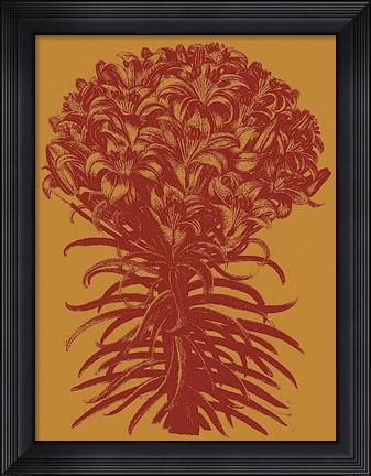 Framed Lilies 15 Print