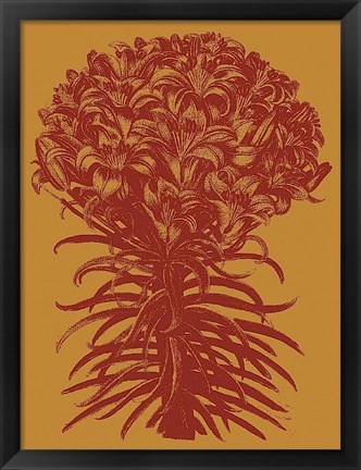 Framed Lilies 15 Print