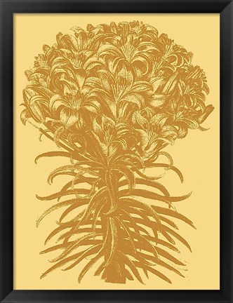 Framed Lilies 19 Print