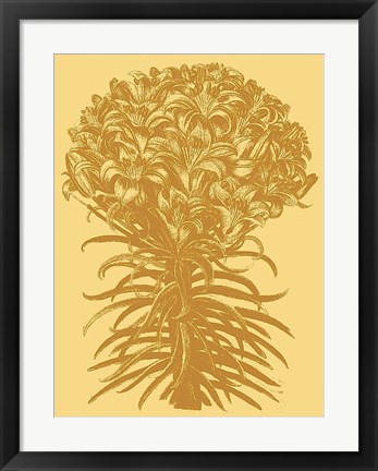 Framed Lilies 19 Print