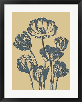 Framed Tulip 1 Print