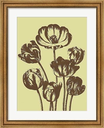 Framed Tulip 3 Print
