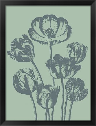 Framed Tulip 8 Print