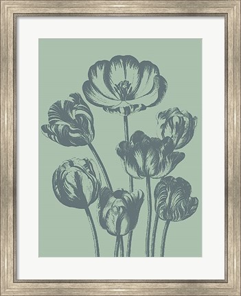 Framed Tulip 8 Print