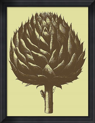Framed Artichoke 3 Print