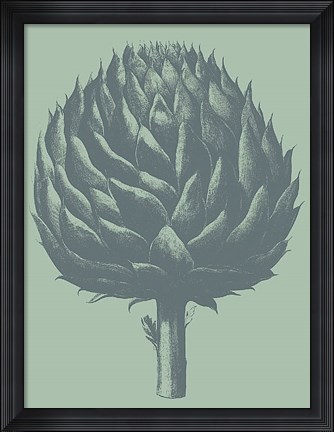 Framed Artichoke 8 Print
