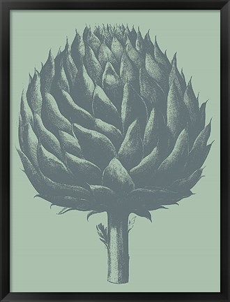 Framed Artichoke 8 Print